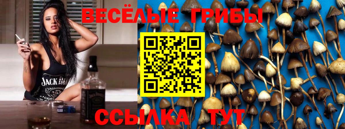 Псилоцибиновые грибы GOLDEN TEACHER  наркота  Семёнов  Вход с VPN 